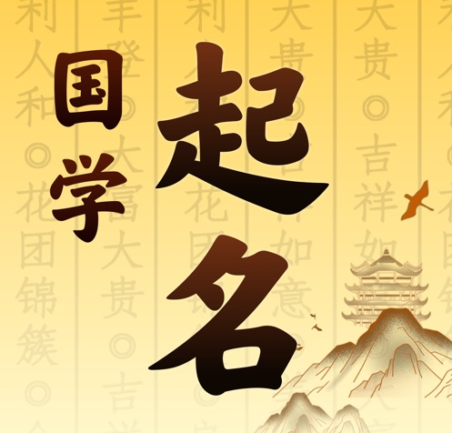 岑溪国学起名 人工起名一对一